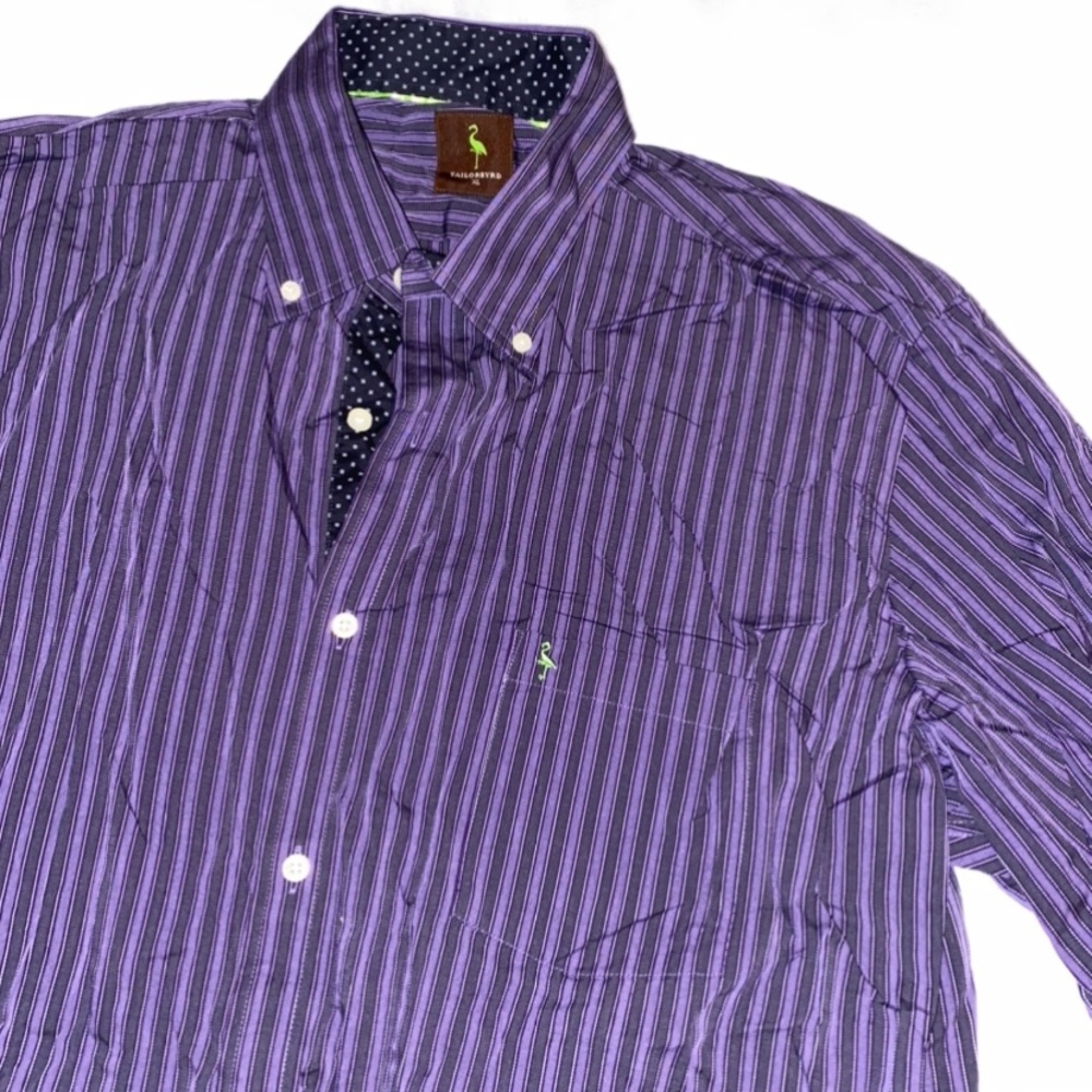 Tailorbyrd Striped Button Down - image 5